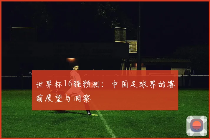 世界杯16强预测：中国足球界的赛前展望与洞察