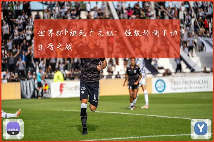 世界杯F组死亡之组：强敌环伺下的生存之战